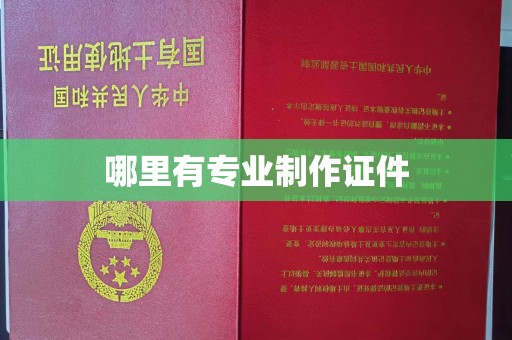 清新哪里有专业制作证件